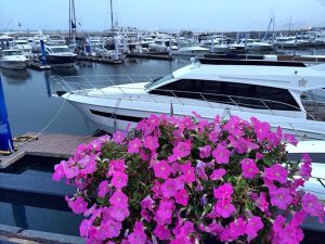 沖津-2014大連國際游艇展